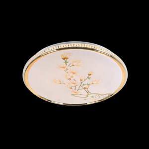 Đèn ốp trần MSS-677