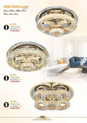 Đèn ốp trần NC-810