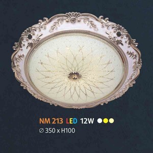 Đèn ốp trần NM 213