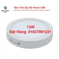 Đèn ốp trần nổi 12W