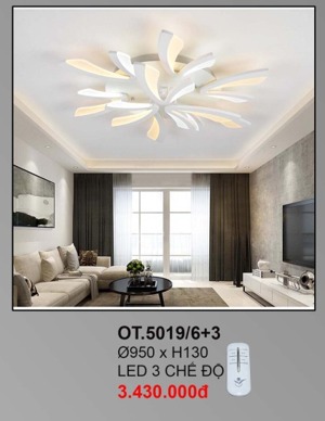 Đèn ốp trần OT5019/6+3