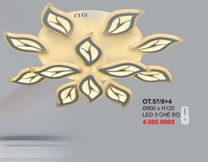 Đèn ốp trần OT57/8+4