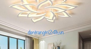 Đèn ốp trần Verona MT3658/12