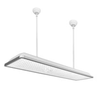 Đèn Panel thả học đường 40W, ánh sáng trung tính PLH-40-30120-50K