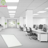 Đèn Panel Thả Trần