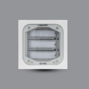 Đèn pha âm trần Paragon PUCH12065L