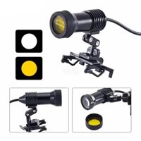 Đèn pha LED 5W Đèn pha phẫu thuật Đèn uống Loại kẹp có bộ lọc ánh sáng màu vàng Nha khoa Dụng cụ nha khoa Phẫu thuật