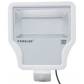 Đèn pha LED cảm ứng FL1S-20W