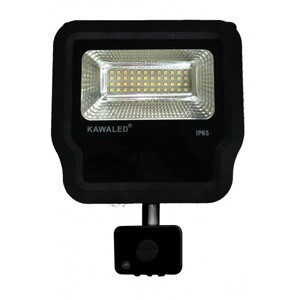 Đèn pha LED cảm ứng FL1S-30W