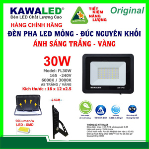 Đèn pha led mỏng đúc nguyên khối FL30W-T/V