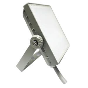 Đèn pha Led Nanoco 10W NLF1106