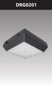 Đèn pha led ốp trần 20w DRG0201
