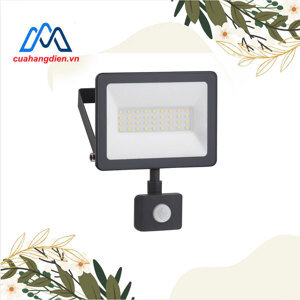 Đèn pha LED Schneider IMT47216