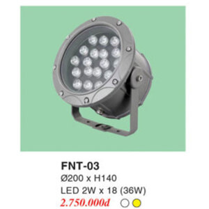 Đèn pha ngoài trời FNT-04