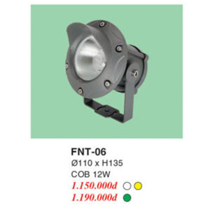 Đèn pha ngoài trời FNT-06