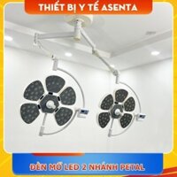 ĐÈN PHẪU THUẬT 5 PETAL, ĐÈN MỔ TREO TRẦN 2 NHÁNH BÓNG LED HMSL 600/600/II-C