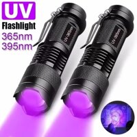 Đèn pin di động UV 365 / 395nm Đèn đen Mini Đèn pin Zoom LED Đèn pin siêu tím để phát hiện huỳnh quang Đèn pin
