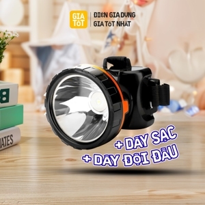 Đèn pin đội đầu Điện Quang ĐQ PFL13 R BLO