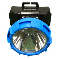 Đèn Pin Đội Đầu Điện Quang ĐQ PFL12 Pin Sạc 1W  - Đen Xanh