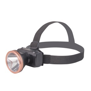 Đèn pin đội đầu Rạng Đông D PDD02/3W