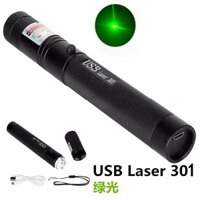 Đèn Pin Laser 301 Điểm Đơn Sạc Usb Dạng Bút Laser Màu Xanh Lá / Đỏ / Tím
