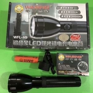 Đèn pin Wasing WFL-H9 800lm
