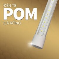 Đèn POM Cá Rồng Zako 5800K + UV