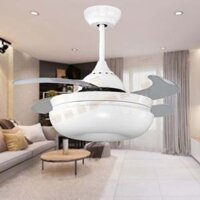 Đèn Quạt Bạch Vũ – 32WE-DC8022