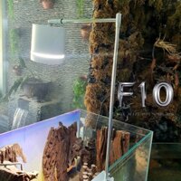 Đèn rọi 3 chế độ sáng mã mới cho bể cá cảnh kiểu dáng đẹp ánh sáng tuyệt vời