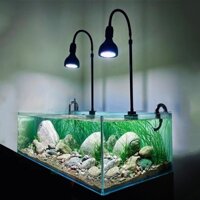 Đèn rọi Biotope thân cao (chiều cao thay đổi) – Đèn rọi bể cá cảnh, hồ thủy sinh, bóng WRGB