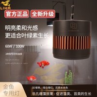 Đèn Rọi MAYIN Huyết Long, Cá Vàng 60W 100W - Đèn Rọi Cao Cấp Cho Bể Cá