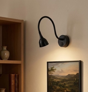 Đèn rọi tranh RT49-01C