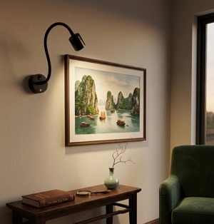 Đèn rọi tranh RT52-01C