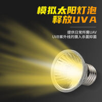 Đèn rùa Rùa Tank Sun Drying Đèn rùa Đèn sưởi ấm mặt trời nhỏ Đèn bò sát của Đèn sưởi ấm nhiệt độ ca