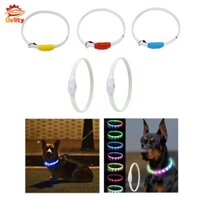 Đèn sáng cổ chó phát sáng Vòng cổ chó nhấp nháy để huấn luyện ban đêm cho thú cưng