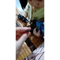 Đèn soi ếch ban đêm