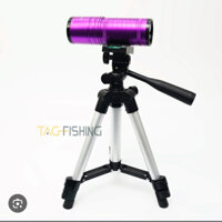 Đèn soi phao ( kèm ảnh thật)