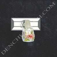 Đèn Soi Tranh Led DCX8007/1