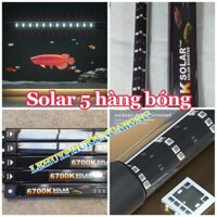Đèn Solar 6700K 5 Hàng Bóng Sáng Rực Rỡ Công Nghệ Chíp 5054 (Sản Xuất 2024) Mới Nhất Giành Cho Hồ Cá