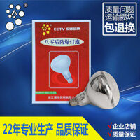 Đèn sưởi cho gà con, heo con, đèn sưởi chống nước, chống cháy nổ, đầu đồng, phiên bản nâng cấp cho trẻ em sau thập niên 80
