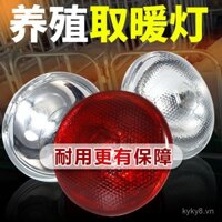 Đèn sưởi cho lợn, đèn sưởi ấm, đèn sưởi cho gà, vịt, ngỗng, đèn sưởi ấm đặc biệt cho chăn nuôi