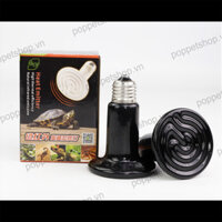 Đèn sưởi đêm – sưởi sứ cho bò sát, cá, chim, chó mèo