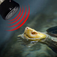 Đèn sưởi gốm bò sát 110V Đèn sưởi truyền nhiệt hồng ngoại cho gà rắn