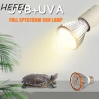 Đèn Terrarium HEFEI, Bóng đèn bò sát E27 UVA UVB, Đèn chiếu sáng điểm Full Spectrum 5.0 / 10.0 LED Bóng đèn sưởi thú cưng nhỏ Trị liệu Tầm nhìn ban đêm