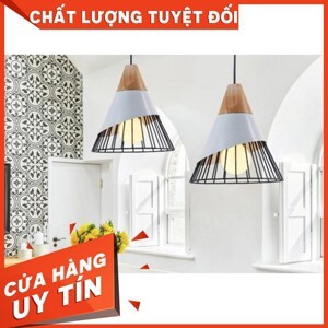 Đèn thả hiện đại TD008