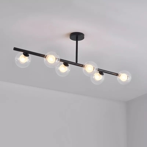 Đèn thả THCN 229