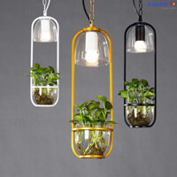 Đèn thả thiết kế chậu trồng cây cao cấp độc lạ trang trí phòng khách , phòng ngủ, gương soi TTK80