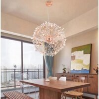 Đèn Thả Trần Bồ Công Anh D500