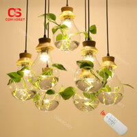 Đèn Thả Trần Chao Thuỷ Tinh Trồng Cây Thuỷ Canh, Thiên Nhiên Sáng Tạo Cho Nhà Hàng, Sân Vườn
