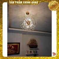 Đèn thả trần hoa bồ công anh - Tặng kèm bóng led